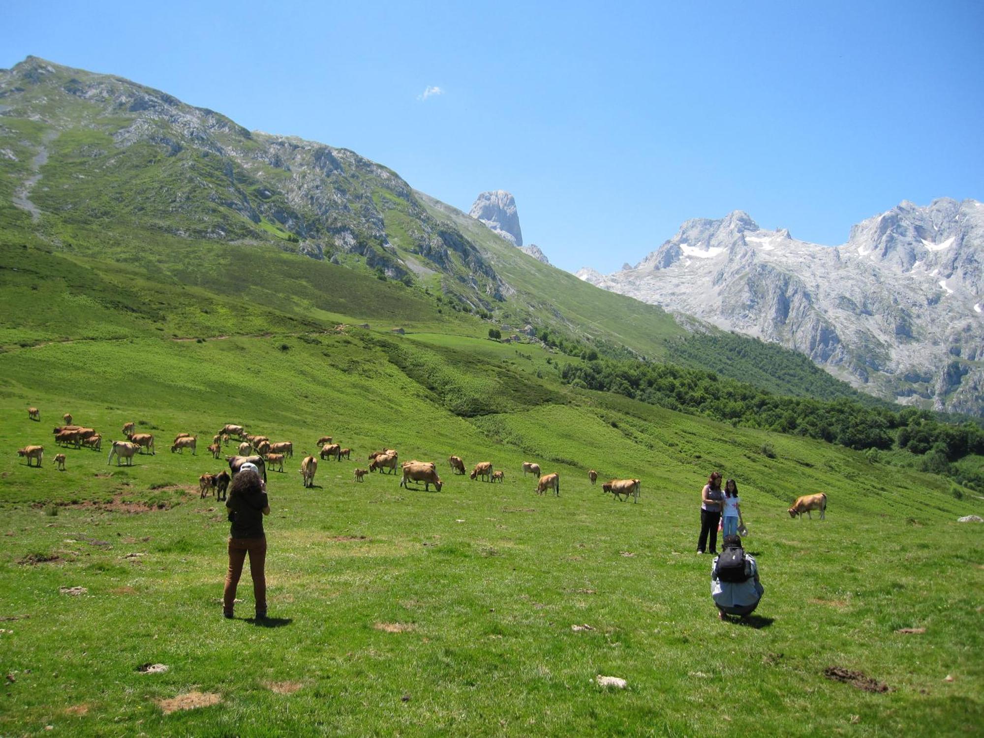 Hosteria Picos De Europa Hotell Potes Eksteriør bilde