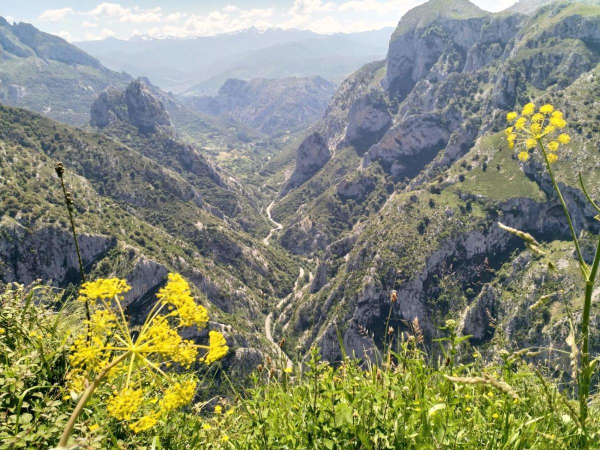 Hosteria Picos De Europa Hotell Potes Eksteriør bilde