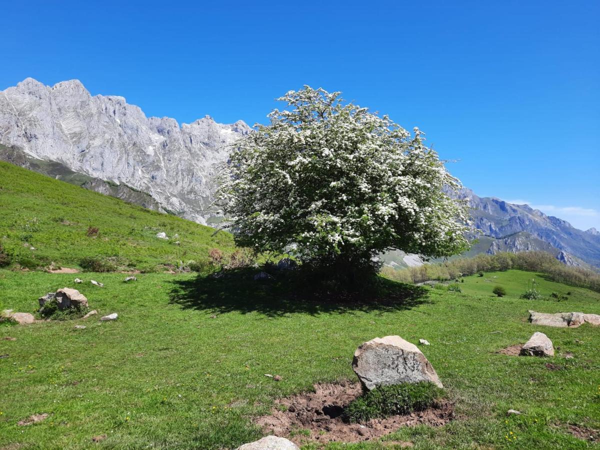 Hosteria Picos De Europa Potes Eksteriør bilde